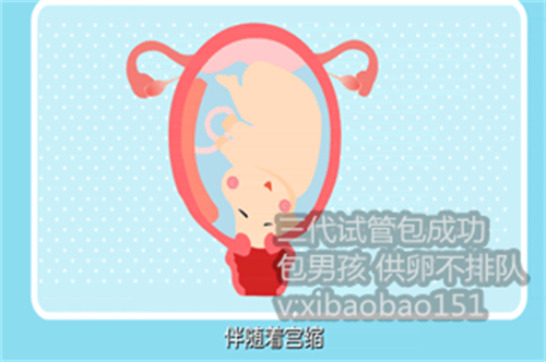 <b>福州想找个助孕的_山东私立生殖医院供卵要等待多长时间？能加钱插队？</b>