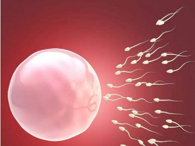 福州捐卵找谁_在嘉峪关助孕试管婴儿中为什么要重视输卵管积水？